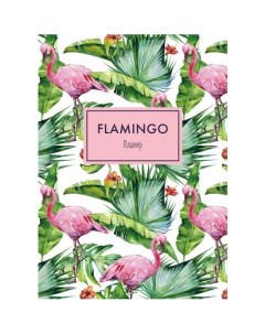 Блокнот Планер Mindfulness Фламинго А4 72 стр Эксмо