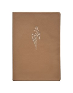 Ежедневник полудатированный коллекция Sprig 14 х 20 см 320 страниц интегральный переплет коричневый Infolio