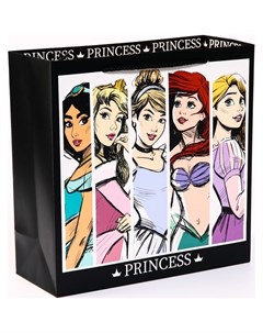 Пакет ламиинат Princess принцессы 30 х 30 х 12 Disney