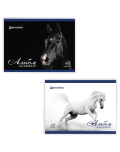 Альбом для рисования Благородные кони А4 40л 200х283мм скоба обложка картон 2 вида Brauberg