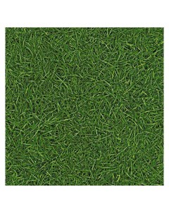 Линолеум NEO GRASS 25 3м 2 5мм 0 2мм Ivc