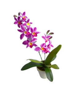 Растение искусственное Орхидея цимбидиум в кашпо фиолетовая 60см Грин бэлт