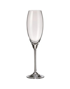 Набор бокалов Carduelis 6шт 290мл шампань стекло Crystal bohemia