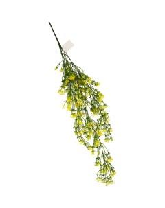 Искусственное растение Эсхинантус 30x7 см цвет зеленый ПВХ Без бренда