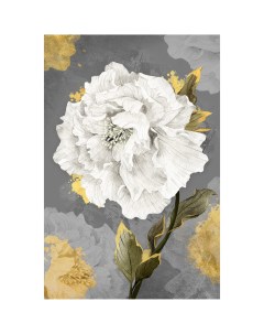 Картина на холсте Белый цветок 1 40x60 см Постер-лайн