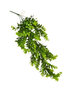 Искусственное растение Фиттония 40x7 см цвет зеленый ПВХ Без бренда