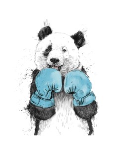 Картина на холсте Панда в боксе 40x50 см Fbrush