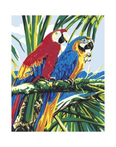 Картина по номерам Тропические друзья 40х50 см Fbrush