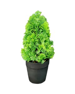 Искусственное растение Краспендия Туя o10 см пвх зеленый Без бренда