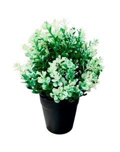 Искусственное растение Краспендия Чабрец o14 см пвх зеленый Без бренда