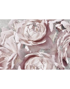 Картина на холсте Розы 50x70 см Постер-лайн