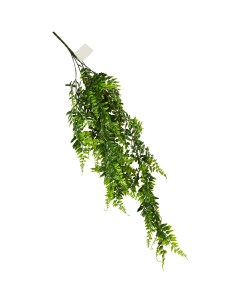 Искусственное растение Колумнея 50x8 см цвет зеленый ПВХ Без бренда