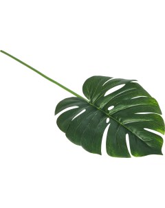 Искусственное растение Монстера ветка h72 см полиэстер зеленый Без бренда