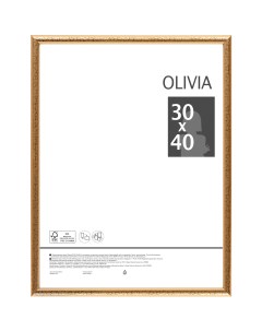 Рамка Olivia 30x40 см пластик цвет золото Без бренда