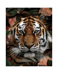 Картина на холсте Портрет тигра 40x50 см Fbrush