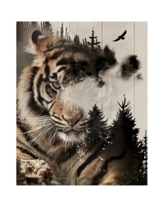 Картина на холсте Таежный хищник 40x50 см Fbrush