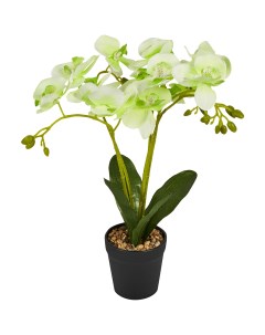 Искусственное растение Орхидея в горшке o14 ПВХ цвет зеленый Без бренда