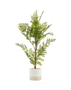 Искусственное растение Фикус 71x14 см пластик Без бренда