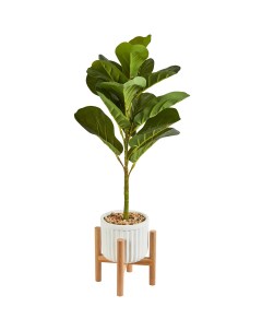 Искусственное растение Фикус 70x14 5 см пластик Без бренда