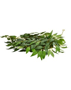 Искусственное растение Лиана 27x33 см ПВХ цвет оливковый Без бренда