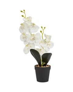 Искусственное растение Орхидея 40x39 5 см ПВХ цвет белый Без бренда