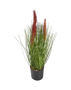Искусственное растение Пеннисетум 25x25 см цвет разноцветный ПВХ Без бренда