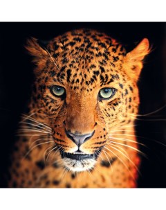 Картина на стекле Леопард 30x30 см Без бренда