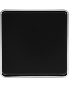 Выключатель накладной влагозащищённый Gallant 1 клавиша IP44 цвет чёрный с серебром Werkel