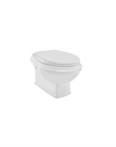 Унитаз подвесной Queens Prime QPS-WHT-7953UFPM с крышкой микролифт Jaquar