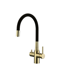 Смеситель для кухни Salix 213419-G черный, золото Paulmark