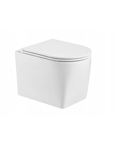 Унитаз подвесной WW NESENBACH 004 GL-WT безободковый, с сиденьем микролифт, белый глянцевый Weltwasser