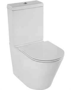 Напольный унитаз Rodin+ UJAB102-00 Jacob delafon