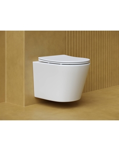 Унитаз подвесной Balearica CN6000MW с сиденьем микролифт, белый матовый Ceramica nova