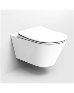Унитаз подвесной Avva 972-W без крышки, белый глянец Boheme