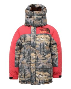 Пуховик The North Face x Gucci