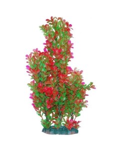 Растение акваримуное Людвигия зелено красная 44 см Уют