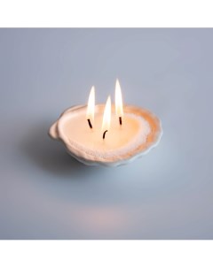Свеча авторская в ракушке гребешок из керамики 1 La palme artisan ceramica