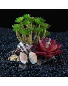Островок с ракушками и растениями искусственными для аквариума 12 х 11 х 9 5 см Nobrand
