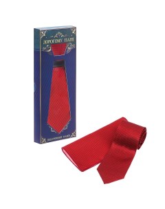 Подарочный набор галстук и платок Nobrand