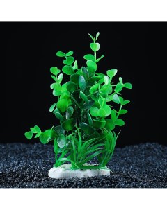 Растение искусственное аквариумное 14 х 12 х 17 см Пижон аква