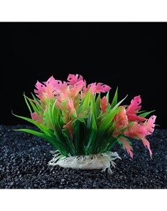 Растение искусственное аквариумное 22 х 14 х 12 см Пижон аква