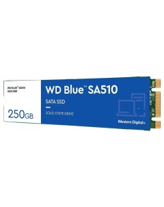 SSD накопитель WDS500G3B0B Western digital