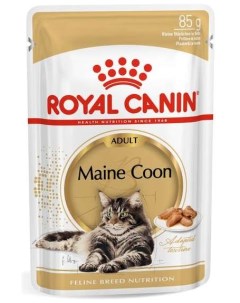 Maine Coon Adult Корм влаж кус в соусе д кошек породы Мэйн кун пауч 85г Royal canin