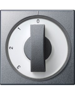 Лицевая панель для выключателя поворотного SYSTEM 55 066926 Gira