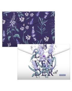 Набор папок конвертов Lavender на кнопке пластиковых A4 4 шт Erich krause