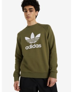 Свитшот мужской Зеленый Adidas