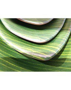 Блюдо 23х13х3 5см овальное Лист Green Banana Leaf пластик меламин F46209 TAI P.l.proff cuisine