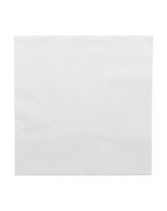Салфетка бумажная двухслойная белая 40х40 см 100 шт 102 21 Garcia de pou
