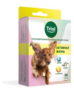 Лакомство для собак мультивитаминное активная жизнь 33 г Триол