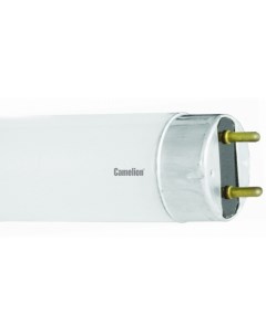 Люминесцентная лампа G13 18W 4200K белый FT8 18W 33 5875 Camelion